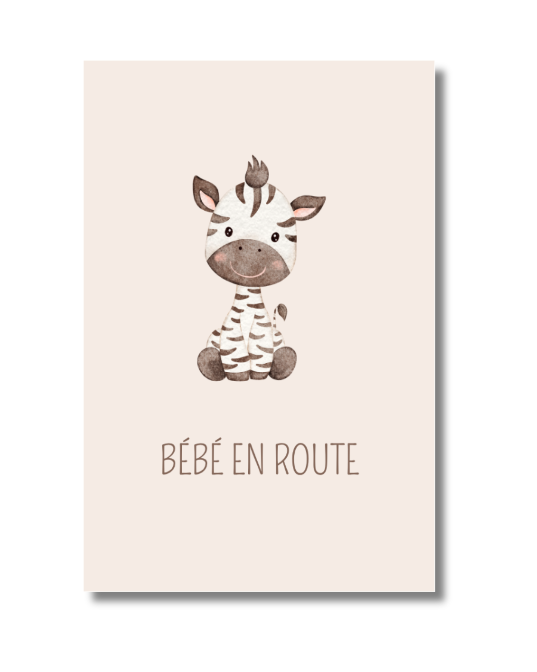 Bébé en route zèbre