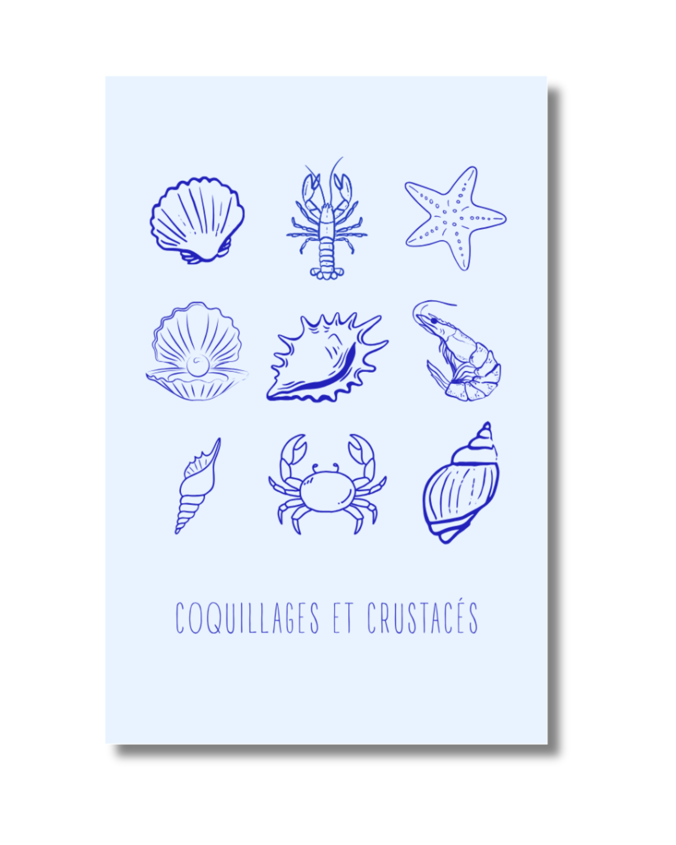 Coquillages et crustacés